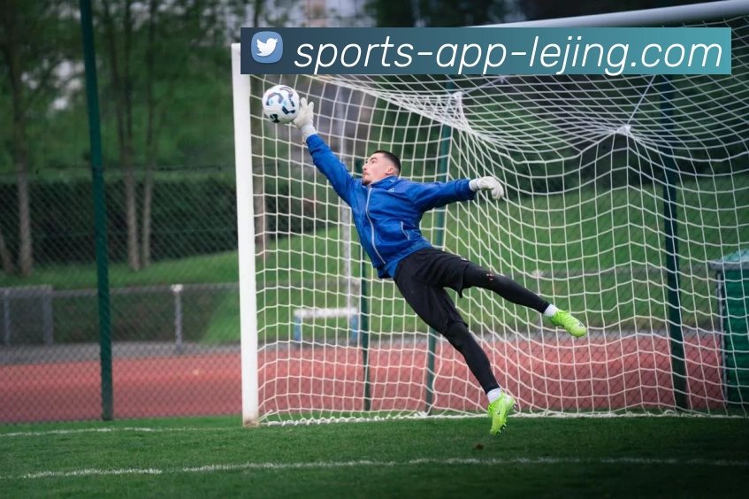 App Interface Preview